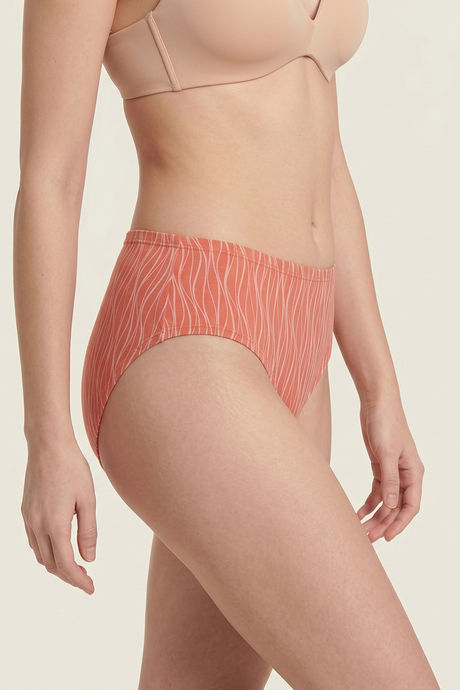 Zivame Regular Rise Full Coverage Hipster Panty (Pack of 3) - Multicolor — image 12